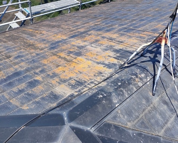 屋根塗装前のコロニアル　苔